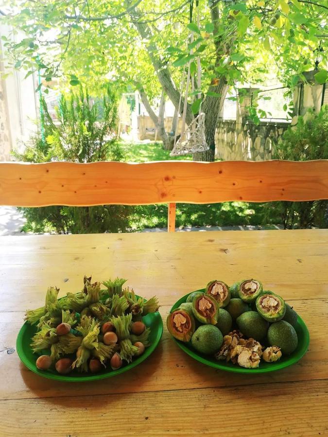 Guest House Nataly Yeghegnadzor 外观 照片